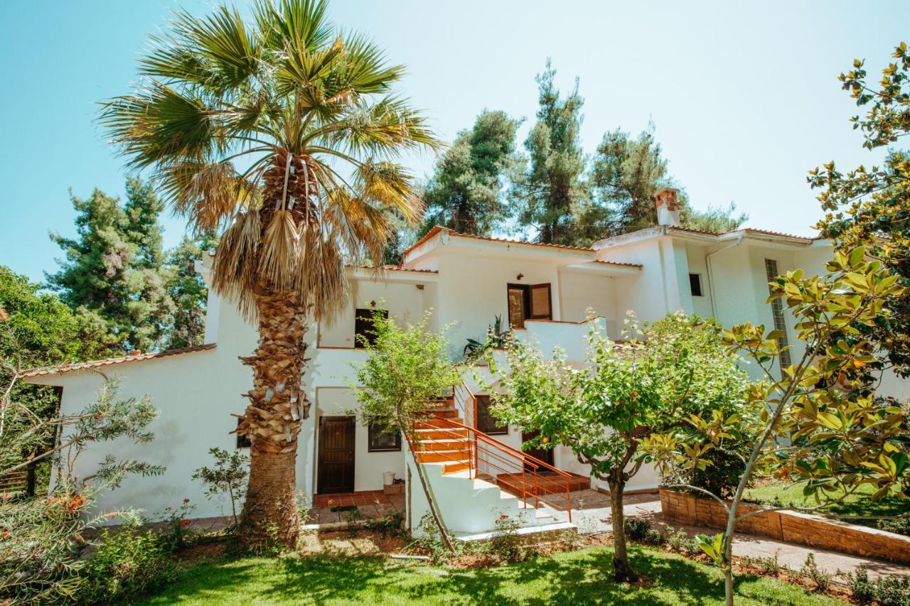 Forest House Near The Sea Sani  Luaran gambar