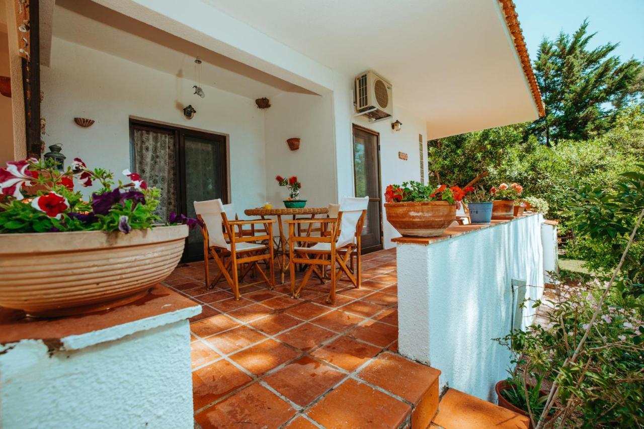 Forest House Near The Sea Sani  Luaran gambar