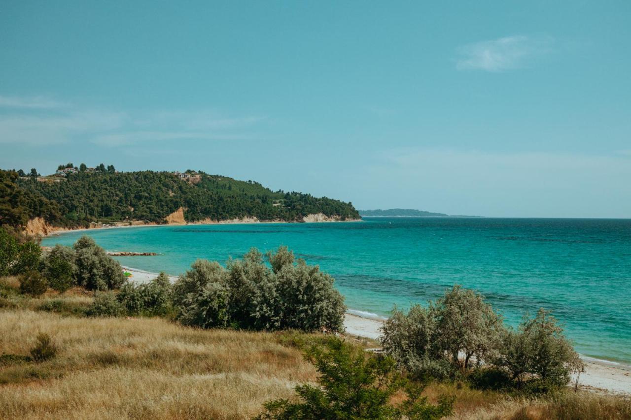 Forest House Near The Sea Sani  Luaran gambar