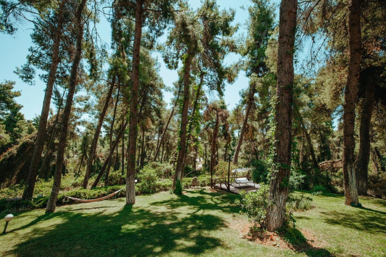 Forest House Near The Sea Sani  Luaran gambar